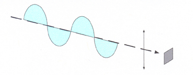 RFID Antenna Dipole  Polarization